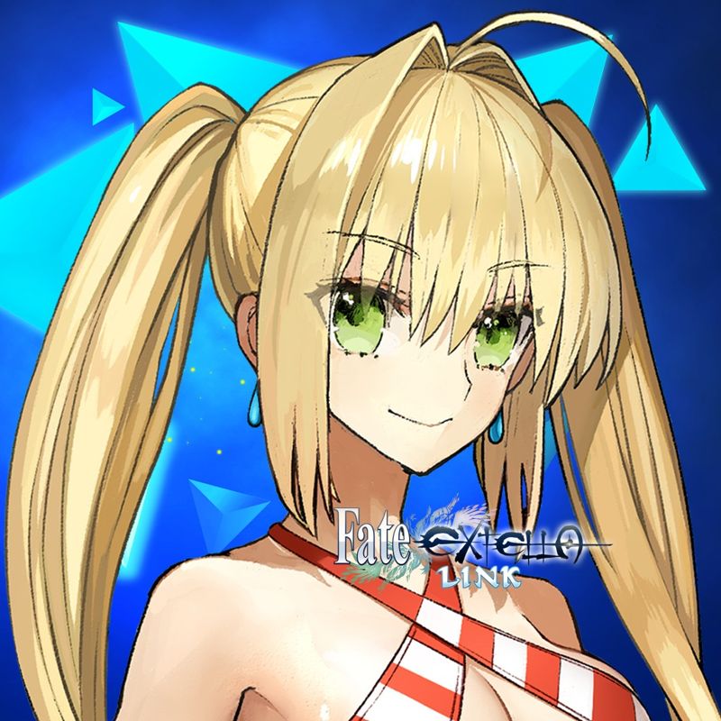 Front Cover for Fate/EXTELLA: LINK - Burning Bikini (PS Vita and PlayStation 4) (download release)