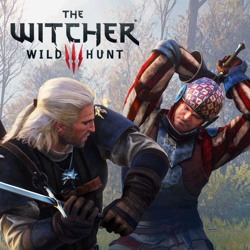 Front Cover for The Witcher 3: Wild Hunt - New Finisher Animations (PlayStation 4) (PSN (SEN) release)