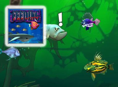 Front Cover for Feeding Frenzy (Windows) (WildGames release)