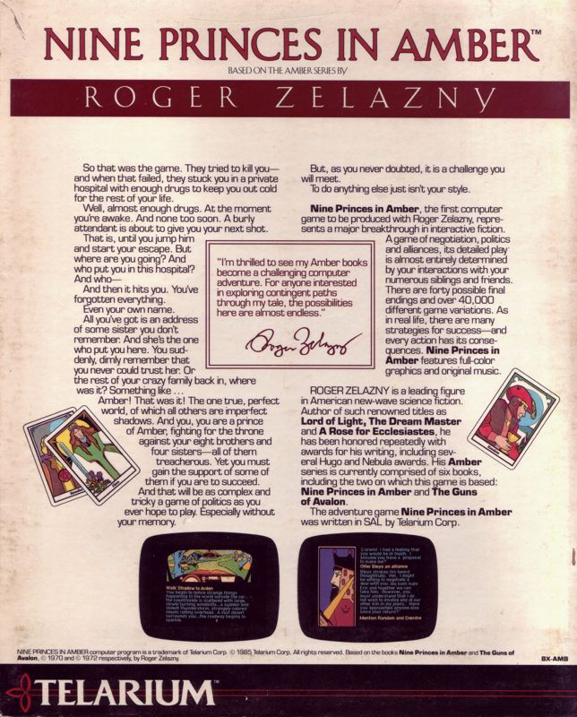 Back Cover for Nine Princes in Amber (DOS)