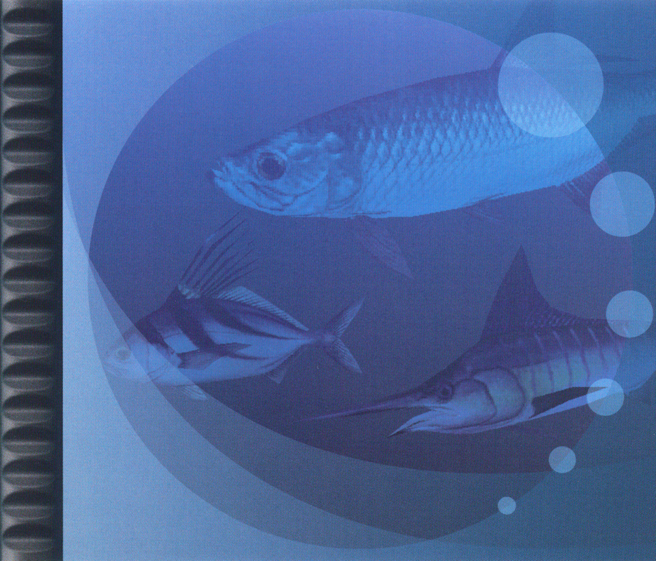 Inside Cover for Saltwater Sportfishing (PlayStation)