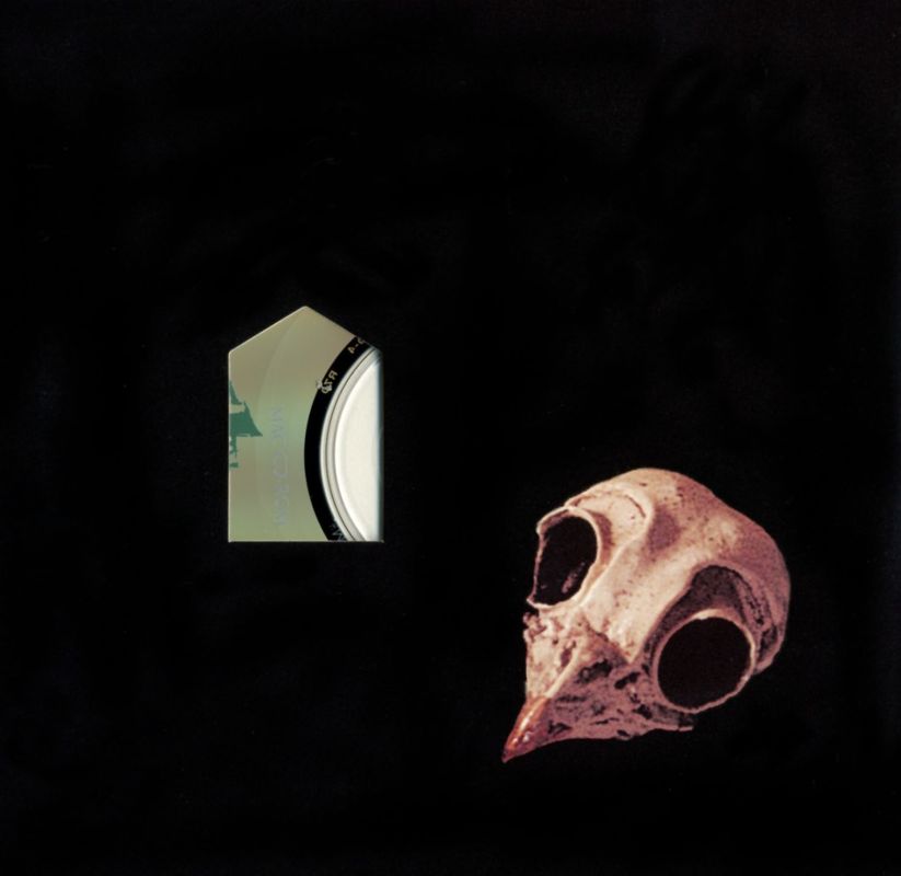 Other for The 11th Hour (Macintosh): Disc 4 Sleeve - Front