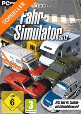 Driving Simulator 2009 - PC