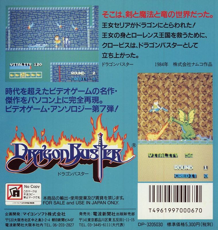 Back Cover for Dragon Buster (Sharp X68000)