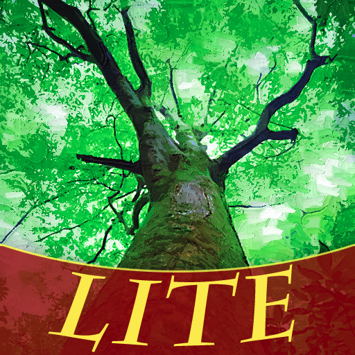 Front Cover for Ultimate Domain (iPad): Lite version