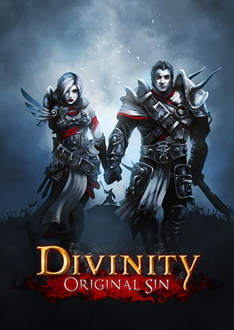 Divinity: Original Sin cover or packaging material - MobyGames