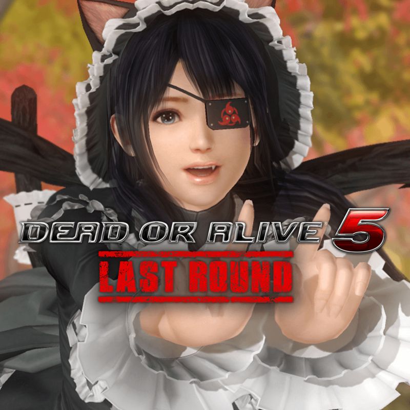 Dead Or Alive 5 Last Round Senran Kagura Mashup Marie Rose Cover Or Packaging Material