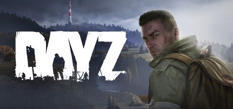 DayZ cover or packaging material - MobyGames