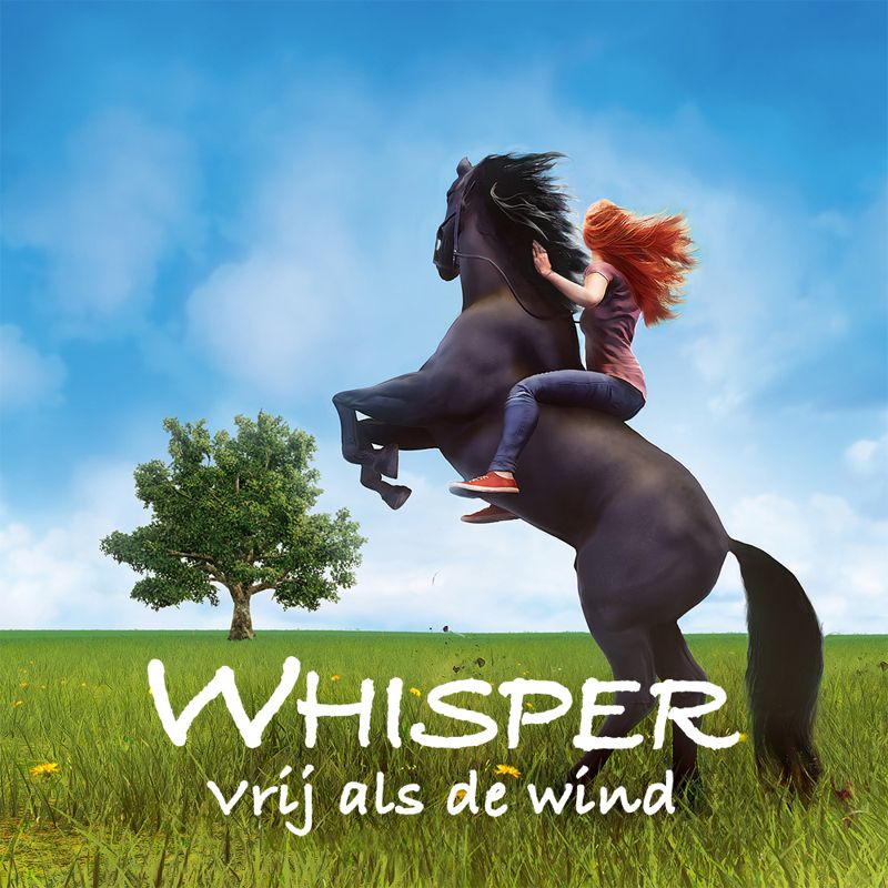 Front Cover for Windstorm: The Game (Nintendo Switch) (download release)