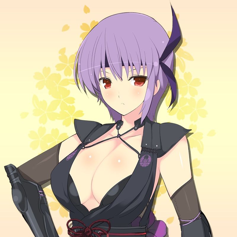 Senran Kagura: Estival Versus getting Dead or Alive's Ayane and