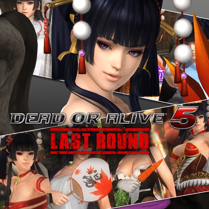 Front Cover for Dead or Alive 5: Last Round - Ultimate Nyotengu Content (PlayStation 4) (download release)