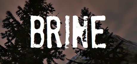 Front Cover for Brine (Windows) (Steam release)