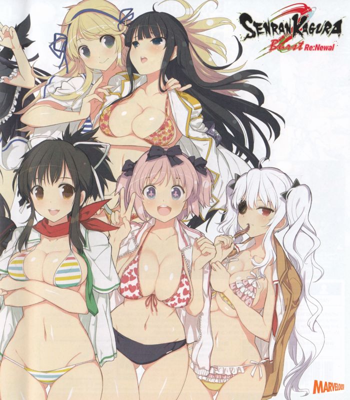 Senran Kagura Burst cover or packaging material - MobyGames