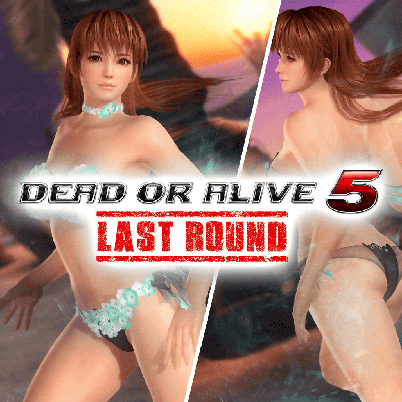Front Cover for Dead or Alive 5: Last Round - Flower Costume: Phase 4 (PlayStation 4) (download release)