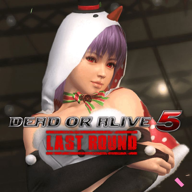 Dead Or Alive 5 Last Round Ayane Christmas Costume Cover Or