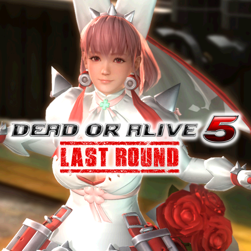 Dead Or Alive 5 Last Round Arc System Works Mashup Honoka And Elphelt Valentine 2017 Mobygames 1094