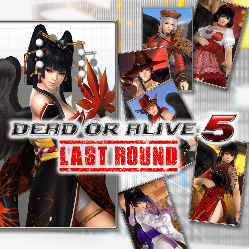 Front Cover for Dead or Alive 5: Last Round - Last Round Nyotengu Content (PlayStation 4) (download release)