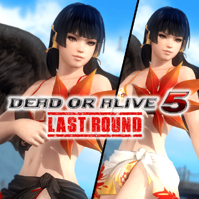 Front Cover for Dead or Alive 5: Last Round - Zack Island Swimwear: Nyotengu (PlayStation 4) (download release)