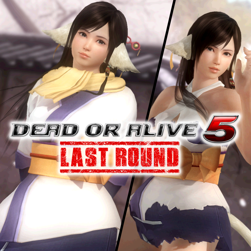 Front Cover for Dead or Alive 5: Last Round - Aquaplus Mashup: Kokoro & Kuon (PlayStation 4) (download release)