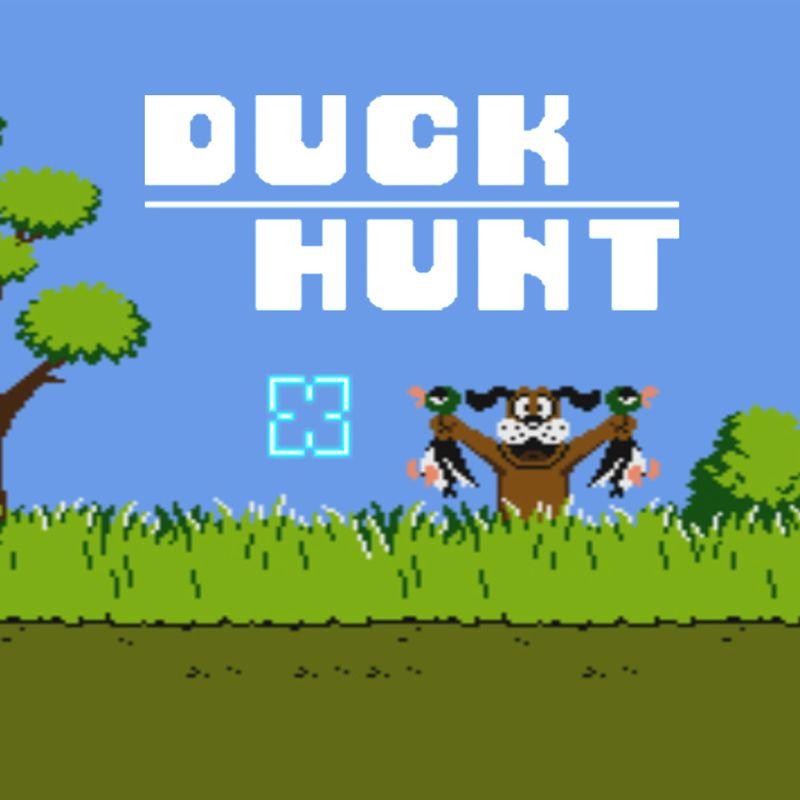 Front Cover for VS. Duck Hunt (Wii U) (download release)