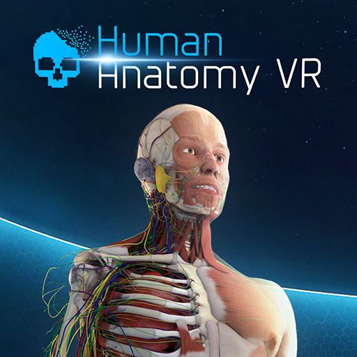 Front Cover for Human Anatomy VR (Android) (Google Daydream version (Google Play release)): free version