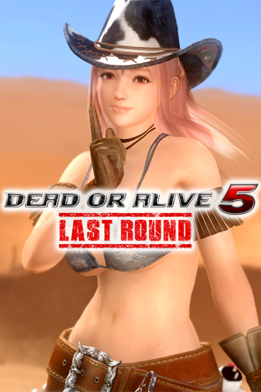 Dead Or Alive 5 Last Round Rodeo Time Costume Honoka Cover Or Packaging Material Mobygames 7688