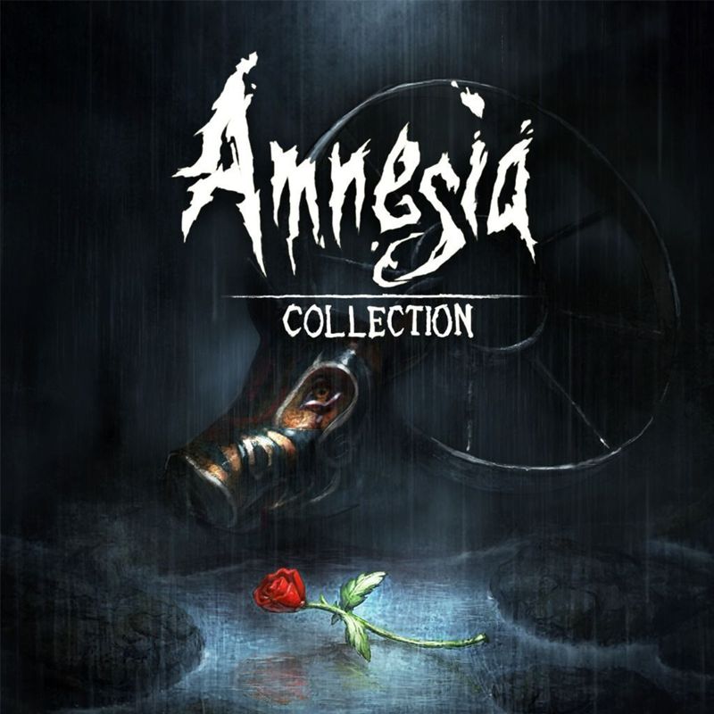 Front Cover for Amnesia Collection (Nintendo Switch) (download release)