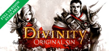 Divinity: Original Sin cover or packaging material - MobyGames