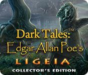 Front Cover for Dark Tales: Edgar Allan Poe's Ligeia (Collector's Edition) (Windows) (Big Fish Games release)