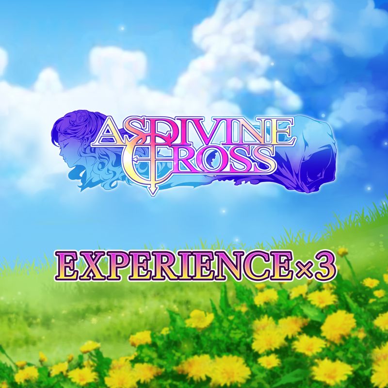 Front Cover for Asdivine Cross: Experience x3 (PlayStation 4 and PlayStation 5) (download release)