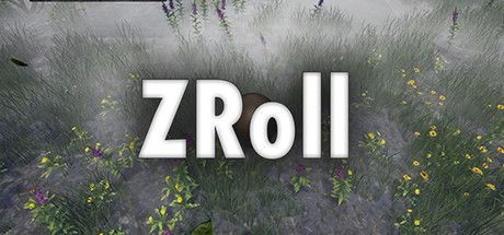 Front Cover for ZRoll (Windows) (Steam release)