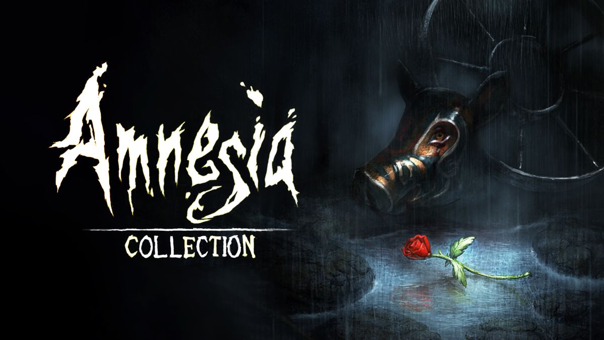 Front Cover for Amnesia Collection (Nintendo Switch) (download release): 2nd version