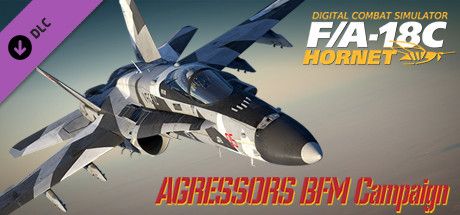Front Cover for DCS: F/A-18C Hornet - Aggressors BFM Campaign (Windows) (Steam release)
