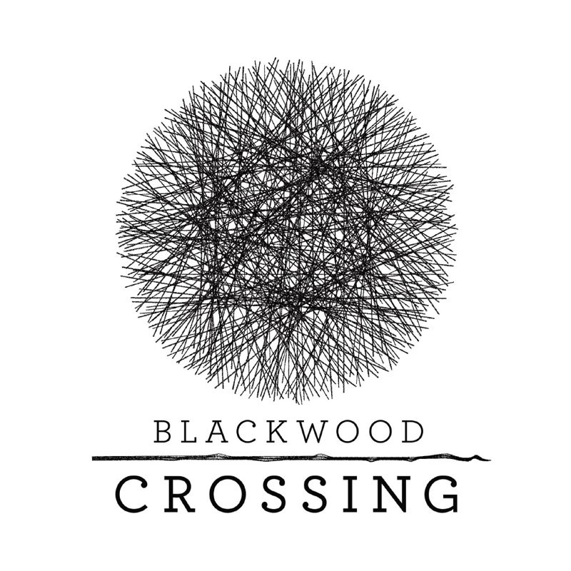 Front Cover for Blackwood Crossing (PlayStation 4) (download release)