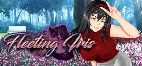 Front Cover for Fleeting Iris (Windows) (Steam release): 1st version