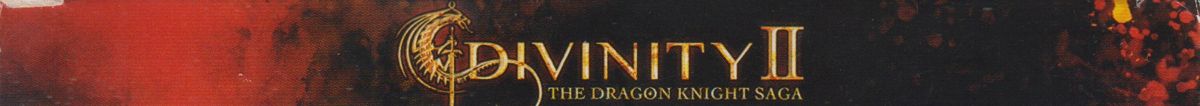 Spine/Sides for Divinity II: The Dragon Knight Saga (Windows): Top