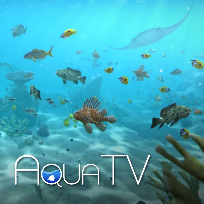 Front Cover for Aqua TV (Wii U) (download release)