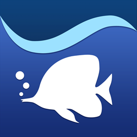 Front Cover for Aqua TV (Windows Apps and Xbox One) (download release)