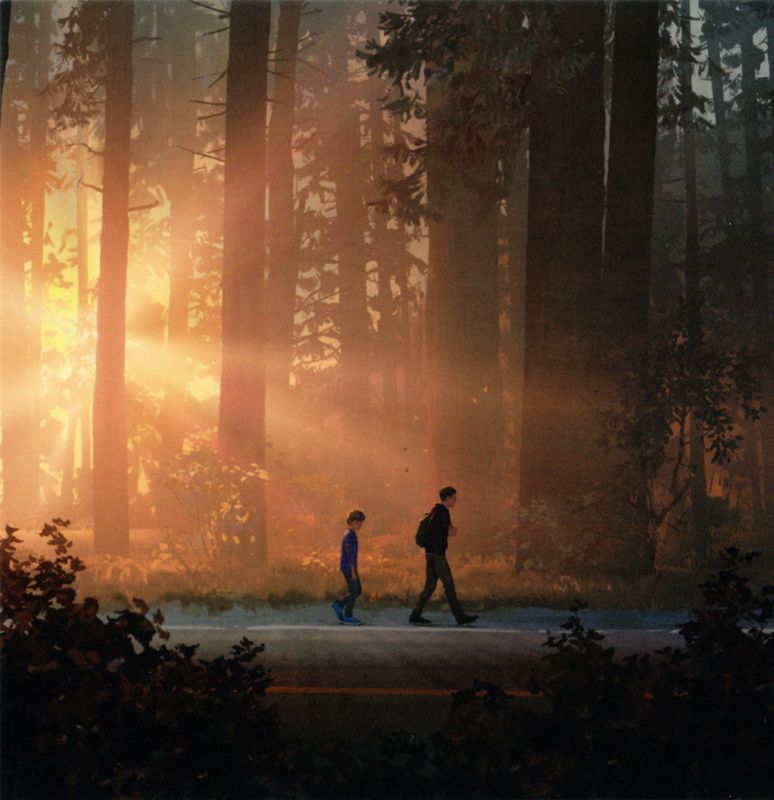 Extras for Life Is Strange 2 (PlayStation 4): Art Card 2