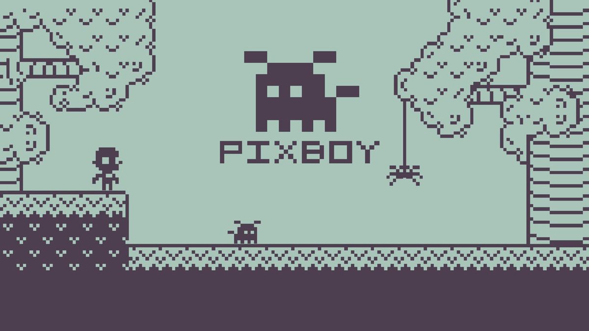 Front Cover for Pixboy (Nintendo Switch) (download release)