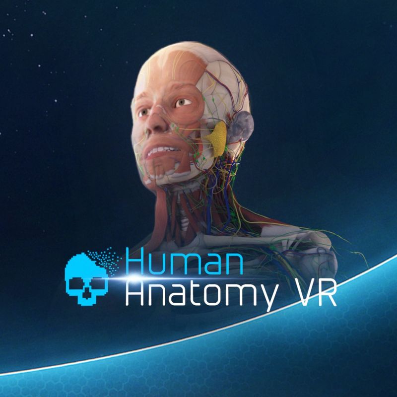 Human Anatomy VR cover or packaging material MobyGames