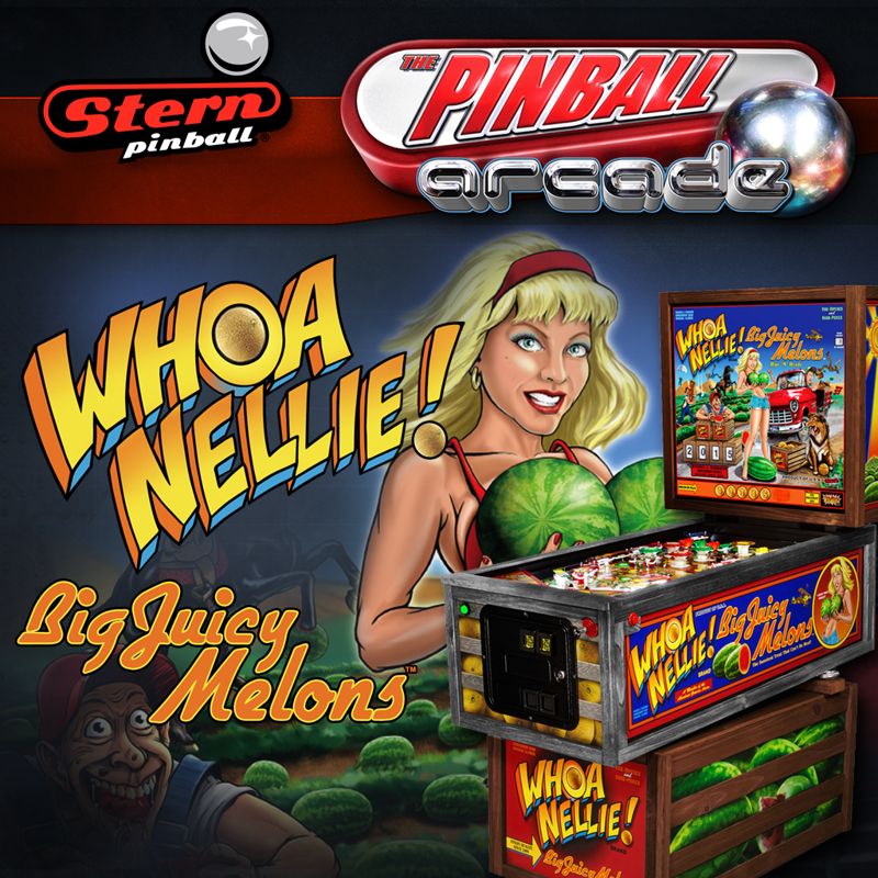 Buy Pinball BigSplash