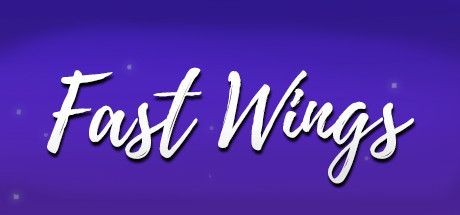 Front Cover for Fast Wings (Windows) (Steam release)