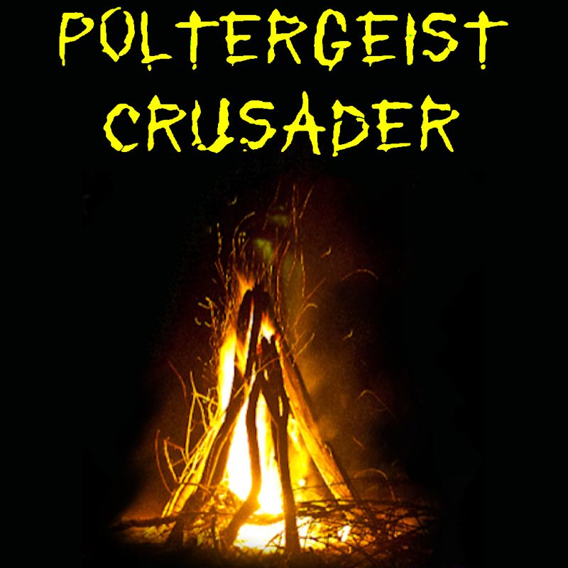 Front Cover for Poltergeist Crusader (Nintendo Switch) (download release)