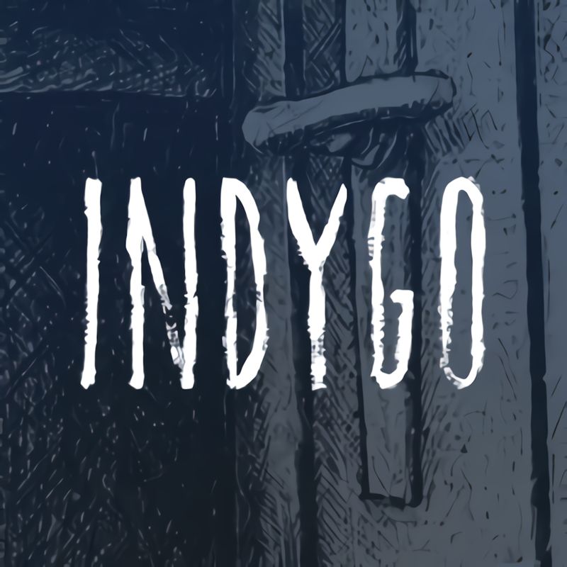 Front Cover for Indygo (Nintendo Switch) (download release)