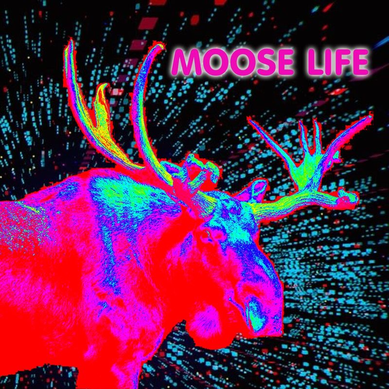 Front Cover for Moose Life (PlayStation 4) (download release)