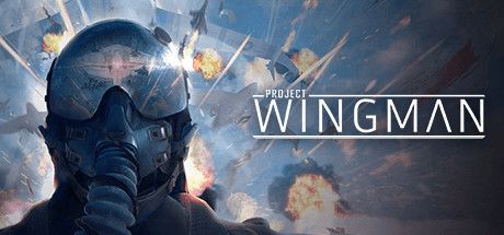 Front Cover for Project Wingman (Windows) (Steam release)