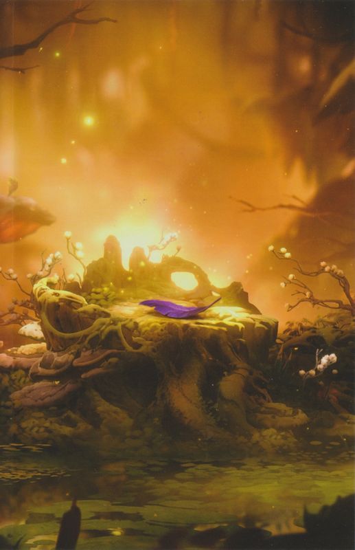 Other for Ori: Collector's Edition (Nintendo Switch): Keep Case <i>Ori and the Will of the Wisps</i> - Inside Right