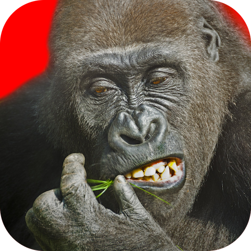 Gorilla Tag (2021) - MobyGames