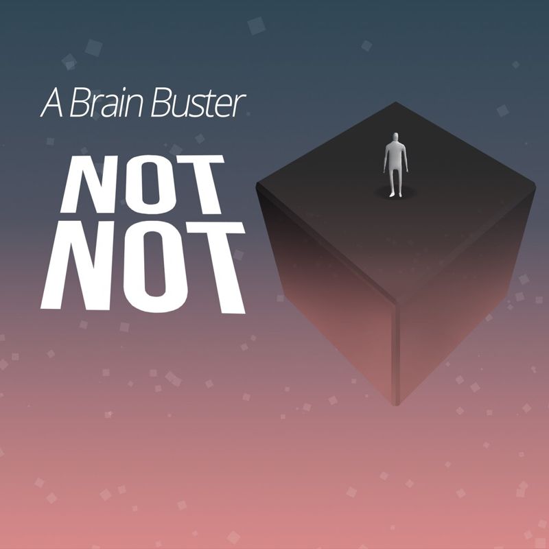 Front Cover for Not Not: A Brain-Buster (PlayStation 4) (download release)